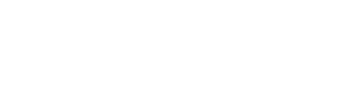 logo_synerjet